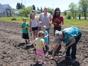 Valerie Chapleau shows youth from the community how to plant potatoes.