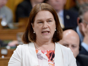 Health Minister Jane Philpott (Adrian Wyld, The Canadian Press)
