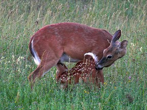 Sudbury Star Outdoors Photo Contest