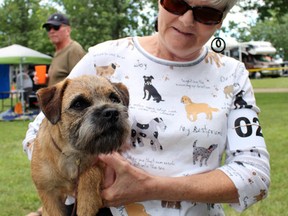 Cameron, a seven-month-old Border Terrier owned by Jane Michell from Corunna, competed at the Sarnia Kennel Club's dog show on Friday, July 1, 2016 in Forest, Ont. The annual event relocated to the Forest fairgrounds this year. Terry Bridge/Sarnia Observer/Postmedia Network