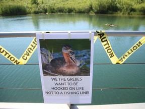 A sign posted by Friends of the Humber Bay Park on Saturday July 2, 2016 at a bridge in Humber Bay Park. Veronica Henri/Toronto Sun/Postmedia Network