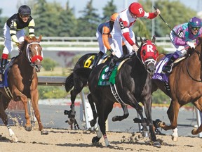 Jockey Julien Leparoux (centre) celebrates after guiding Sir Dudley Digges to capture the 157th running of the Queen’s Plate Stakes at Woodbine on Sunday. (MICHAEL BURNS/Photo)