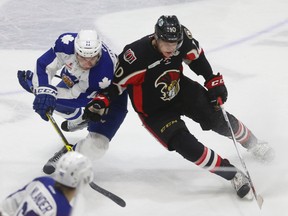 The Ottawa Senators are seeking to move their AHL affiliate in Binghamton, N.Y. to Belleville, Ont. (Jack Boland/Postmedia Network/Files)