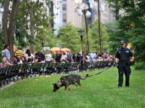 A bomb-sniffing dog works near the scene of an explosion in Central Park, New York, Sunday, July 3, 2016. A firework that exploded when a 19-year-old unwittingly stepped on it Sunday in Central Park, seriously injuring his left foot, didn't appear to be designed to intentionally hurt people, police officials said. (AP Photo/Seth Wenig)