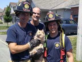 Ottawa firefighter Dan Leblanc holds a cat rescued from a fire on Fountainhead Drive Tuesday, with colleagues Barry Rasmussen, rear, and Dave Cummings. Ottawa Fire Services