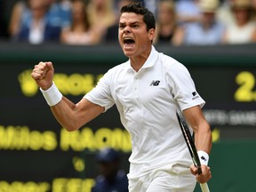 Milos Raonic of Canada celebrates during the Men's Singles Semi Final match against Roger Federer of Switzerland on day eleven of the Wimbledon Lawn Tennis Championships at the All England Lawn Tennis and Croquet Club on July 8, 2016 in London, England. (Photo by Shaun Botterill/Getty Images)