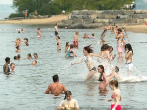 Petrie Island East Bay beach is closed today due to high E coli counts. The city's four other beaches are open.