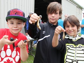 Nearly 700 gobies were hauled in during this year's Family Fun Derby, put on by the Bluewater Anglers. Here Marcus Spanton, nine (left), Mathias Schertzer, nine, and Ulrich Schertzer, seven, pose with some of their catches. Tyler Kula/Sarnia Observer/Postmedia Network