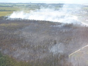 Smoke rises from the site of a wildfire burning in Burns Bog, in Delta, B.C., is seen from the air in this July 4, 2016, handout photo. THE CANADIAN PRESS/HO-Corporation of Delta