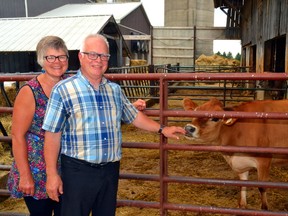 While talented musicians played the classics on stage, Annamarie and David Murray, the hosts of the annual Cows and Classics Concert, checked on one of their dairy cows to ensure she was also enjoying the show. GALEN SIMMONS MITCHELL ADVOCATE