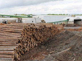 EACOM timber yard at the Timmins sawmill