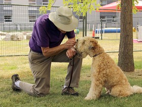Dave Campbell feeds his terrier, Alfie, some treats during training at Mr. Spot Dog Camp at St. Lawrence College in Kingston, Ont. on Monday July 11, 2016. Julia Balakrishnan for the Whig-Standard/Postmedia Network