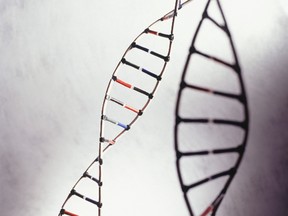 Close up of a DNA model. (GETTY IMAGES)