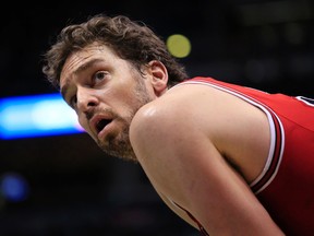 In this Sunday, April 3, 2016 file photo, Chicago Bulls centre Pau Gasol takes a break during a game against the Bucks in Milwaukee. (AP Photo/Darren Hauck, File)