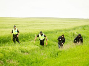 Police search through a ditch east of Calgary, Alta., on Thursday, July 14, 2016. Hawc, the Calgary Police Service helicopter, could be seen flying over a very wide area in the Chestermere, Conrich and Delacour areas east of Calgary, with police vehicles following along. Lyle Aspinall/Postmedia Network