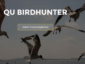 Birdhunter