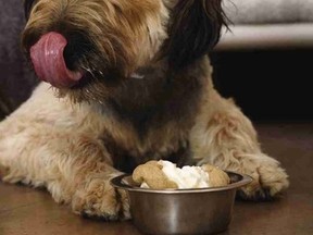 Peanut butter doggy ice cream? Yes you can get that for fido. (Petsmart)