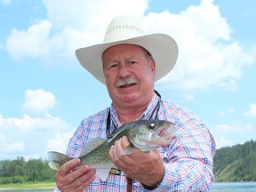 Neil with a North Saskatchewan River walleye. Photo: Neil Waugh