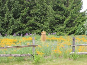 While not everyone has the opportunity to build a bee hive in a field of flowers, there are several other ways people can help to save the bee population.