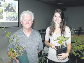 Carl Hnatyshyn/Postmedia Network
Bluewater Trails' Tony Barrand and Return the Landscape's Felicia Syer hold up a pair of rescued plants from the Howard Watson Nature Trail. The pair discussed the past, present and future of the trail during Green Drinks Sarnia.