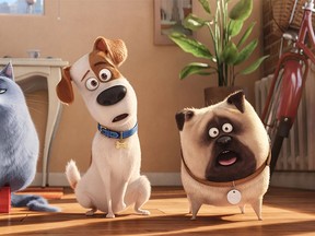 "The Secret Life of Pets." (Supplied)