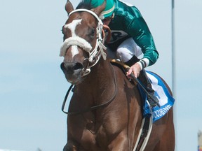 Gary Boulanger guides Lokinforpursemonee to victory in the $125,000 Victoria Stakes for two-year-old colts. Lokinforpursemonee is owned by J.R. Racing Stable and trained by John Ross. (Michael Burns/photo)