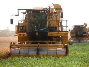 Fresh pea harvesters work on a field just outside of Melbourne, southwest of London. Canadian farmers are among the most stressed-out in the world, a researcher at the University of Guelph has found. (MIKE HENSEN, The London Free Press)
