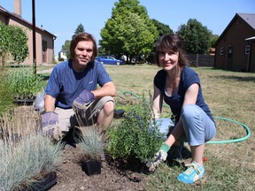 Alec Ross, left, and Michele Pacey plant in the Kingscourt Groundbreakers’ first rain garden outside Kingscourt Free Methodist Church in Kingston on July 15, 2016. Jane Willsie for The Whig-Standard/Postmedia Network