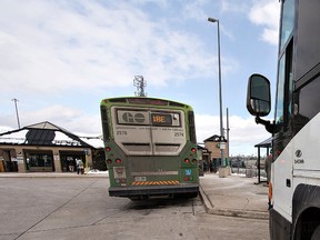 GO Transit buses (Postmedia Network)