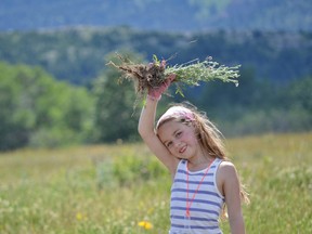 Volunteer Livia Alexander shows off some of her findings during a previous Knapweed Rodeo in Waterton Lakes National Park. The family-fun filled day is loaded with activities, competitions and prizes, as well as an in-depth look at how conservation is achieved. | Submitted photo/Courtesy of Parks Canada