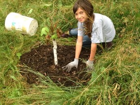 Members of Junior Achievement help care for trees as part of the Aftercare event held at Springbank Flats Park on July 8. ReForest London will be holding 12 public events this summer, including one at Longo Custom Kitchens Aftercare on August 3.