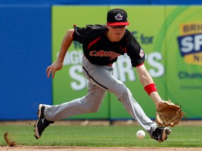 Adam Hall (Baseball Canada)