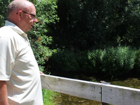 Quinte Conservation manager Terry Murphy checks out low water levels in Potter Creek Thursday afternoon. Murphy, along with other officials, has become increasingly concerned with the low water levels and lack of rainfall in the area. Samantha Reed/The Intelligencer