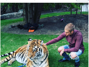 A photo of Justin Bieber with a tiger in Toronto posted on the star's Instagram account (screen grab)