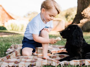 Animal lovers don’t find Prince George dog pic very sweet. (Getty)