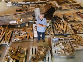 Peter May, president of Research Casting International Ltd. in Trenton, Ont., stands amid blue whale bones at the company's headquarters Thursday, July 21, 2016. Behind him is a skull. Teams recovered the bones in 2014 after the dead whales washed ashore in Newfoundland.