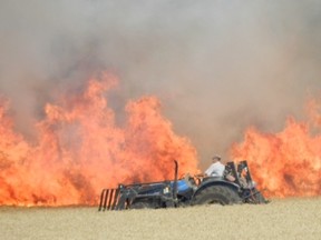 A farmer near Ingersoll creates a fire trench using his tractor to help contain a field fire that erupted in the region?s searing heat from an overheated piece of farm equipment. (Derek Puddicombe/Special to Postmedia Network)