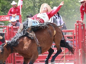 Reigning world bareback riding champion Phil Harvey takes a ride on Sunday afternoon at the County Championship Rodeo in Picton.