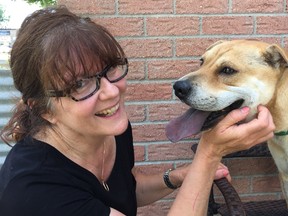 London Humane Society executive director Judy Foster commiserates with Clara, a one year old "investigation dog" in London. (DEREK RUTTAN, The London Free Press)