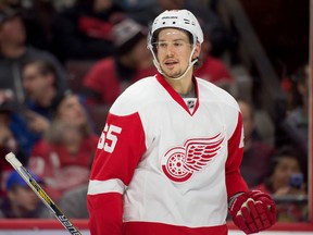 Detroit Red Wings defenceman Danny DeKeyser skates in the second period against the Ottawa Senators at the Canadian Tire Centre in Ottawa on Feb. 20, 2016. (Marc DesRosiers/USA TODAY Sports)
