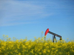 A pumpjack is seen surrounded by canola on the eastern edge of Calgary, Alta on Tuesday July 26, 2016. Jim Wells//Postmedia