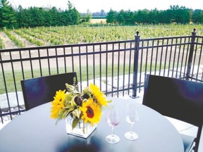 Dark Horse Estate Winery in Grand Bend has its grand opening Saturday. (BARBARA TAYLOR, The London Free Press)