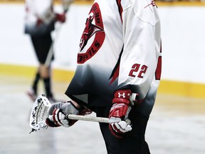 Evan Mathany of the Wallaceburg Red Devils. (MARK MALONE/The Daily News)