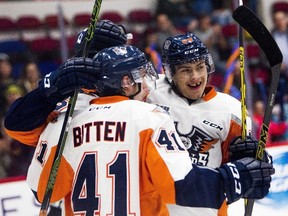 Flint Firebirds players celebrate a goal against the Oshawa Generals during a hockey game at Dort Federal Event Center in Flint, Mich., in this Nov. 8, 2015 file photo. (CANADIAN PRESS file photo)