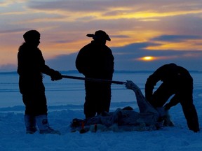 Inuit hunters skin a polar bear on the ice as the sun sets during the traditional hunt on Frobisher Bay near Tonglait, Nunavut, Feb.2, 2003. (Kevin Frayer, The Canadian Press)