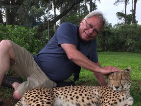 London Free Press reporter Joe Belanger pets a tame female cheetah at the Mount Kenya Wildlife Conservancy?s animal rescue and rehabilitation centre, which also maintains a breeding program for cheetahs and bongo antelope.