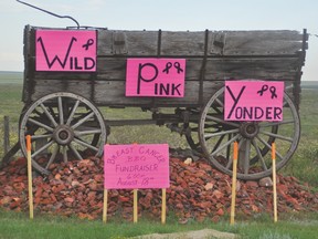 Wild Pink Yonder riders are stopping in Carmangay and Arrowwood in August. This sign is located by the entrance to Carmangay. Stephen Tipper Vulcan Advocate