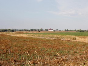 The Collins Bay Institution farmland between the prison and Front Road in Kingston, Ont. on Wednesday July 27, 2016. Julia McKay/The Whig-Standard/Postmedia Network