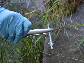 Jim Moodie/Sudbury Star
Tongs and gloves are used to remove syringes from various bush areas in the vicinity of downtown Sudbury.
