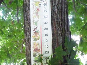 Temperatures are always cooler beneath the shade of a tree. John DeGroot, conducting his own unscientific measurement, recently found the difference to be about eight degrees Celsius. But trees have far more benefits than temperature control, he writes.JOHN DEGROOT/SARNIA OBSERVER/POSTMEDIA NETWORK